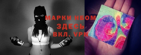 бошки Елабуга