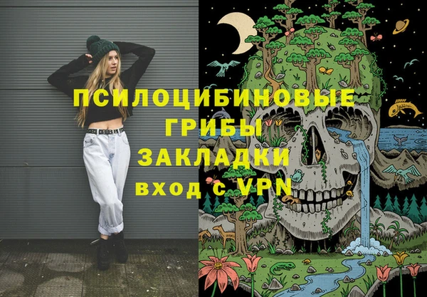 бошки Елабуга