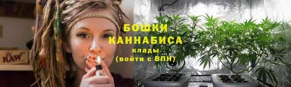 бошки Елабуга