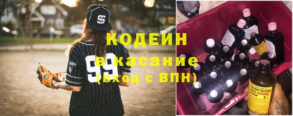 бошки Елабуга