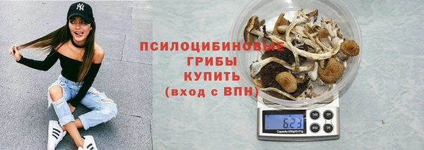 бошки Елабуга